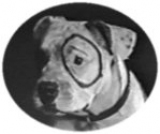 AceK