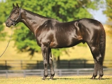 Banning Furlong