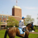 Ezgoer1