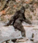 JonuguyII