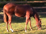 TURFWAYJOHN