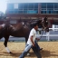 RACHEL ALEXANDRA