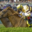 WiseDan2014BernardBaruch.jpg