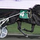 39876-Luckycharm%20Hanover103010st