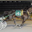 51334-Hillbilly Hanover 2012-11-25