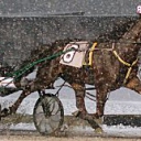 51737-Hillbilly Hanover122912r6 (1)