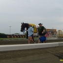 Broad Bahn on his victory stroll back to the paddock 2011