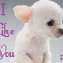 _ILikeYou