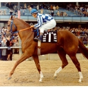 The The Great Secretariat!!!