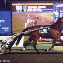 Gallo Blue Chip leads the post parade for the 2005 Breeders Crown 3-Year-Old Colts and Geldings Pace