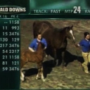 Stakes-winner Melba Jewel paraded with weanling after today's 3rd.